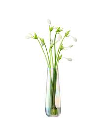 Grosse mundgeblasene Vase Pearl, Glas, Perlmutt-Schimmer, Ø 13 x H 36 cm