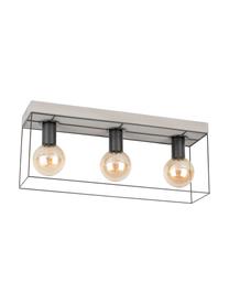 Faretti da soffitto in cemento Gretter, Struttura: metallo, Baldacchino: cemento, Grigio, nero, Larg. 55 x Alt. 23 cm