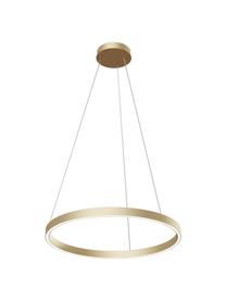 Grosse LED-Pendelleuchte Rim, Lampenschirm: Aluminium, Baldachin: Aluminium, Goldfarben, Ø 60 x H 40 cm