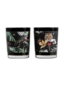 Set de velas aromáticas Wilderness (piña y pomelo), 2 pzas., Recipiente: vidrio, Negro, tonos verdes, gris, Ø 6 x Al 7 cm