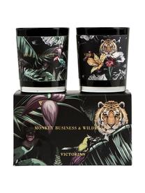 Coffret bougies parfumées Wilderness (ananas et fruit de la passion, pamplemousse et mangue), 2 élém., Noir, tons verts, tons gris, Ø 6 x haut. 7 cm