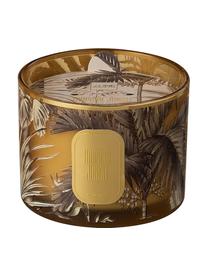 Vela perfumada dos mechas Tropical Jungle (tulipán), Recipiente: vidrio, Marrón, dorado, Ø 11 x Al 8 cm