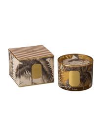 Vela perfumada dos mechas Tropical Jungle (tulipán), Recipiente: vidrio, Marrón, dorado, Ø 11 x Al 8 cm