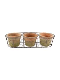 Pflanztopf-Set Daria aus Terrakotta, 4er-Set, Übertopf: Terrakotta, Korb: Metall, Terrakotta, Olivgrün, B 37 x H 9 cm