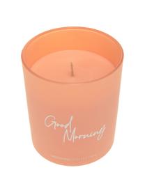 Bougie parfumée Good Morning : Floral Amber, Rose vif