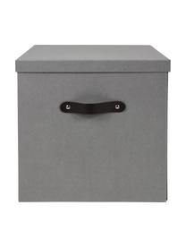 Skladovací box Texas, Světle šedá, Š 32 cm, V 32 cm