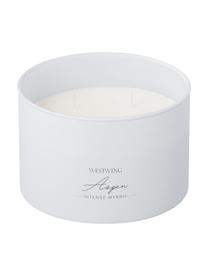 Bougie parfumée à quatre mèches Aspen (myrrhe), Gris clair