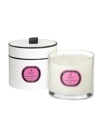 3-lonts-geurkaars Aromatherapy (rozemarijn & bergamot), Houder: glas, Wit, roze, Ø 12 x H 11 cm