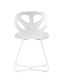 Silla de madera Maple, Asiento: madera contrachapada lami, Estructura: acero con pintura en polv, Blanco, An 51 cm x F 49 cm