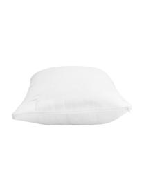 Garnissage de coussin en microfibre Premium Sia, 30x50, Blanc, larg. 30 x long. 50 cm