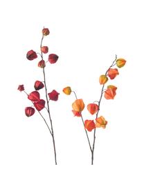 Set 2 fiori artificiali Physalis, Plastica, Arancione, lilla, Alt. 90 cm