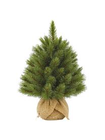 Künstlicher Weihnachtsbaum Forest, Grün, Ø 36 x H 45 cm