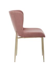 Chaise velours rembourrée Tess, Velours vieux rose, pieds or, larg. 49 x prof. 64 cm