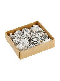 Set 18 ciondoli decorativi Pinecones, Pigne rivestite, Bianco, Ø 6 x Alt. 6 cm