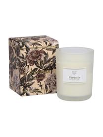 Vela perfumada Secret Garden (naranja, coco, pomelo & pera), Blanco, An 9 x Al 12 cm