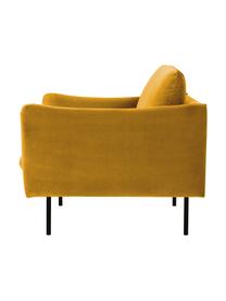 Poltrona in velluto Moby, Rivestimento: velluto (rivestimento in , Struttura: legno di pino massiccio, , Gambe: metallo verniciato a polv, Velluto giallo senape, Larg. 90 x Prof. 90 cm