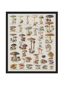 Ingelijste digitale print Mushroom Vintage Poster, Afbeelding: digitale print op papier,, Lijst: gelakt hout, Multicolour, B 53 cm x H 63 cm