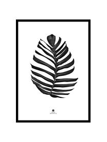 Ingelijste digitale print Jungle Leaf Black, Afbeelding: digitale druk op papier (, Lijst: gelakt HDF, Zwart, wit, 30 x 40 cm