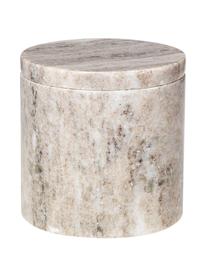 Contenitore in marmo beige Osvald, Marmo

Il marmo è una pietra naturale ed è quindi unico nelle sue venature. Ogni prodotto è unico, Marmo beige, Ø 10 x Alt. 10 cm