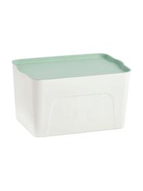 Caja Mintho, Plástico, Verde menta, An 45 x Al 25 cm