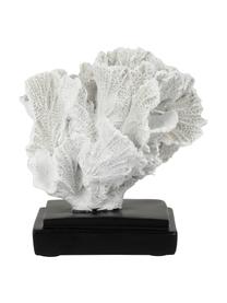 Oggetto decorativo bianco Bordermer, Materiale sintetico, Bianco, nero, Larg. 13 x Alt. 12 cm