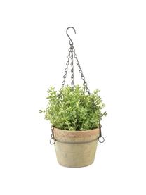 XS hangende plantenpot Vila, Pot: terracotta, Terracottarood, B 16 cm x H 12 cm