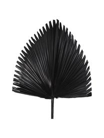 Kunstblume Palmenblatt in Schwarz, Polyester, Schwarz, B 40 x H 85 cm