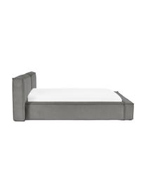 Letto imbottito in velluto a coste Lennon, Rivestimento: velluto a coste (98% poli, Struttura: legno di pino massiccio c, Piedini: legno certificato FSC, pl, Velluto a coste grigio, Larg. 140 x Lung. 200 cm