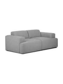 Sofa Melva (2-osobowa), Tapicerka: poliester Dzięki tkaninie, Nogi: lite drewno bukowe, lakie, Szary, S 200 x G 101 cm