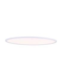 Plafón ovalado LED regulable Sorrent, Estructura: metal recubierto, Blanco, An 60 x Al 6 cm