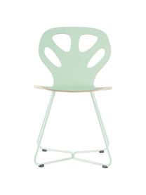 Silla de madera Maple, Asiento: madera contrachapada lami, Estructura: acero con pintura en polv, Verde menta, An 51 cm x F 49 cm