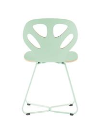 Silla de madera Maple, Asiento: madera contrachapada lami, Estructura: acero con pintura en polv, Verde menta, An 51 cm x F 49 cm