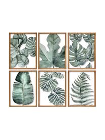 Set de cuadros Foliage, 6 pzas., Verde, An 50 x Al 38 cm