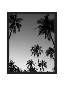 Ingelijste digitale print Palm Trees Silhouette At The Sunset, Afbeelding: digitale print op papier,, Lijst: gelakt hout, Zwart, wit, B 43 cm x H 53 cm