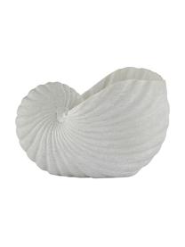 Klein decoratief object Serafina Shell, Kunststof, Wit, B 12 cm x H 8 cm