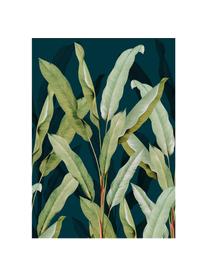 Adesivo murale oliva Branch, Tessuto non tessuto, Blu, verde, Larg. 200 x Alt. 280 cm