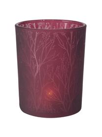 Waxinelichthoudersset Astano, 3-delig, Glas, Lila, roze, violet, Alle Ø 10 x H 12 cm