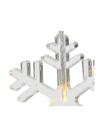 LED-Lichterkette Frost L 105 cm, Kunststoff, Transparent, L 105 cm