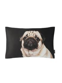 Kissenhülle Pascha mit Hundmotiv, 100% Baumwolle, Schwarz, Beige, 30 x 50 cm