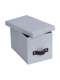 Caja Kristina II, 2 uds., Caja: canvas, cartón rígido (10, Asa: cuero, Gris claro, B 14 x H 15 cm