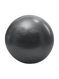 Sitzball Felt mit Tragegriff, Bezug: Polyester (Filzimitat), Webstoff Anthrazit, Ø 65 cm