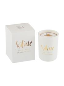 Vela perfumada Shine (té blanco), Recipiente: vidrio, Blanco, Ø 9 x Al 12 cm