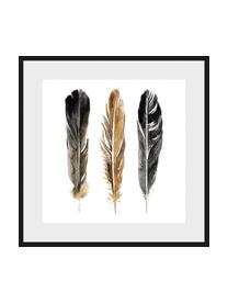 Gerahmter Digitaldruck Three Feathers, Bild: Digitaldruck, Rahmen: Metall, Front: Plexiglas, Weiss, Schwarz, Braun, 30 x 30 cm