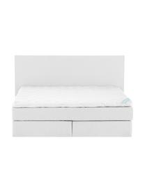 Premium Boxspringbett Eliza, Matratze: 7-Zonen-Taschenfederkern , Hellgrau, 200 x 200 cm