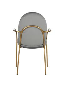 Sedia con braccioli in velluto Mary, Rivestimento: velluto (poliestere) 15.0, Struttura: metallo rivestito, Grigio, Larg. 55 x Prof. 64 cm