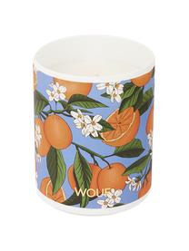 Vela perfumada Orange Blossom (azahar), Recipiente: vidrio, Naranja, Ø 8 x Al 10 cm