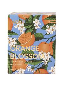 Bougie parfumée vegan Orange Blossom (fleur d'oranger), Orange