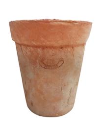 Kleine plantenpot Riga, Terracotta, Terracottarood, Ø 13 x H 14,5 cm