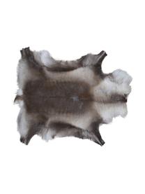 Tappeto in pelle di renna Marlen, Pelle di renna, Tonalità marroni, bianco, Pelle di renna unica 141, 75 x 115 cm