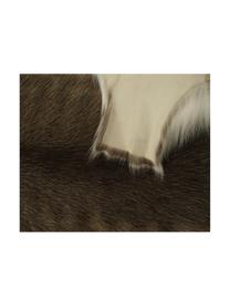 Afombra de piel de reno Dobri, Piel de reno, Tonos marrones, blanco, Piel de reno única 198, 75 x 115 cm